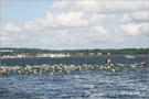 11. Vilmschwimmen 2009 Lauterbach auf Rügen