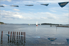 11. Vilmschwimmen 2009 Lauterbach auf Rügen