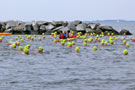 14. Vilmschwimmen 2012 Lauterbach auf Rügen