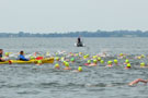 14. Vilmschwimmen 2012 Lauterbach auf Rügen