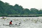 14. Vilmschwimmen 2012 Lauterbach auf Rügen